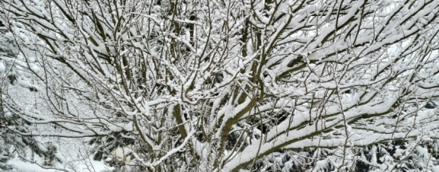 fotka 25 - Nad Strumykiem